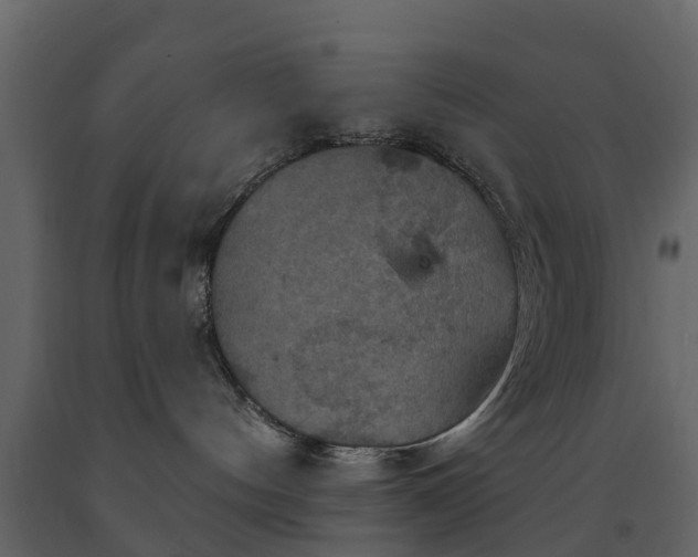 X0000091690144200708231448