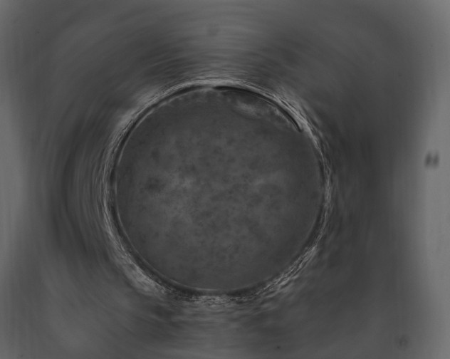 X0000091690145200708231448