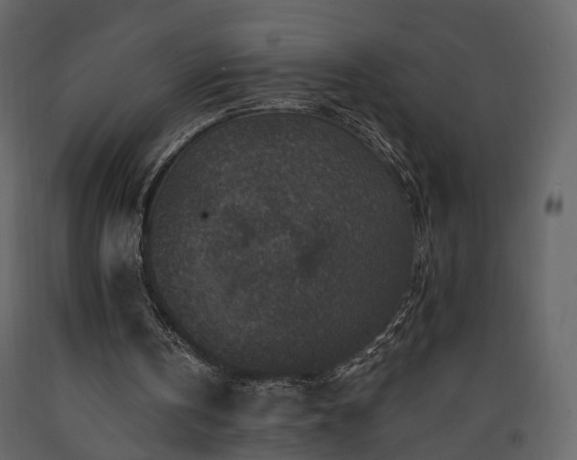 X0000091690146200708231448