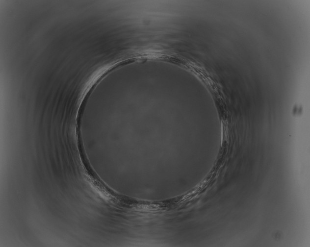 X0000091690147200708231448