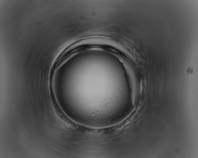 X0000091690148200708231448