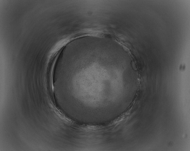 X0000091690149200708231448
