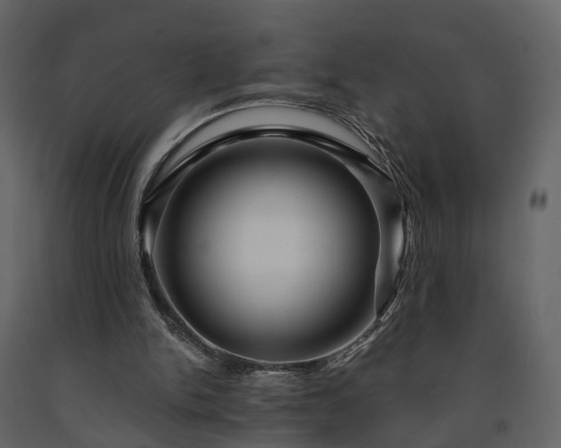 X0000091690150200708231448