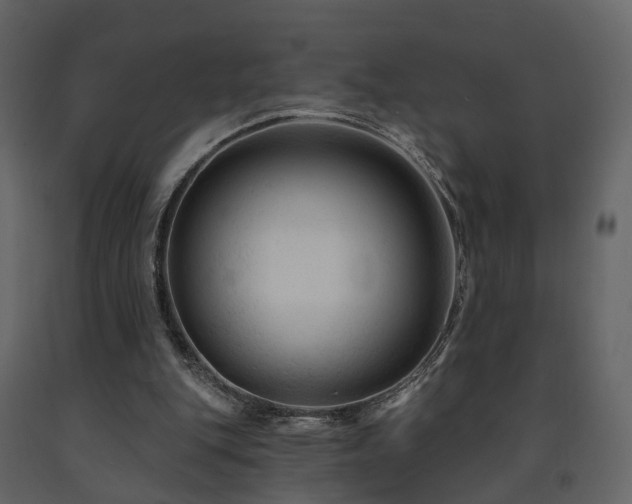 X0000091690151200708231448
