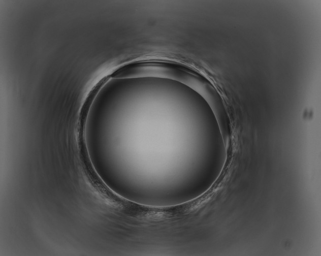 X0000091690152200708231448