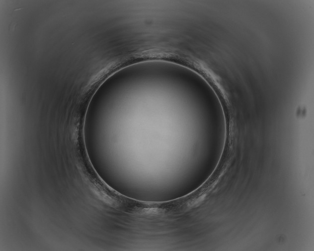 X0000091690153200708231448