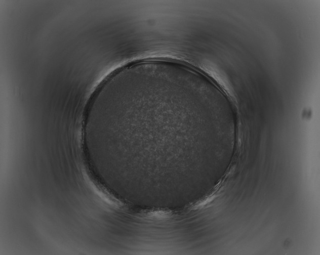 X0000091690156200708231448