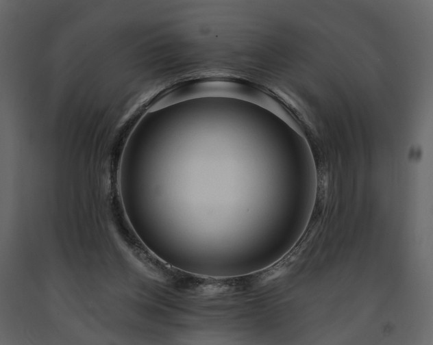 X0000091690158200708231448