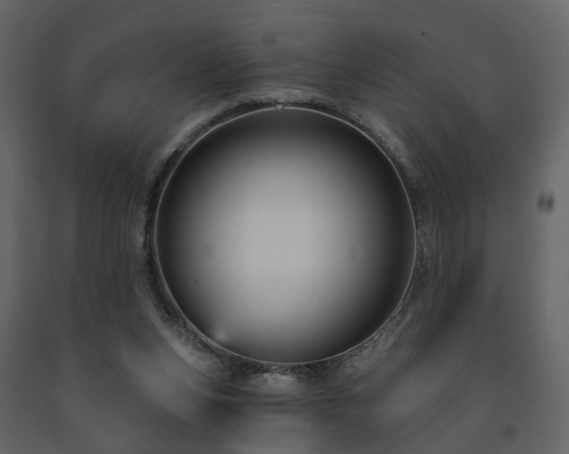 X0000091690159200708231448