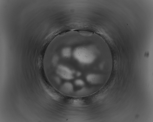 X0000091690165200708231448