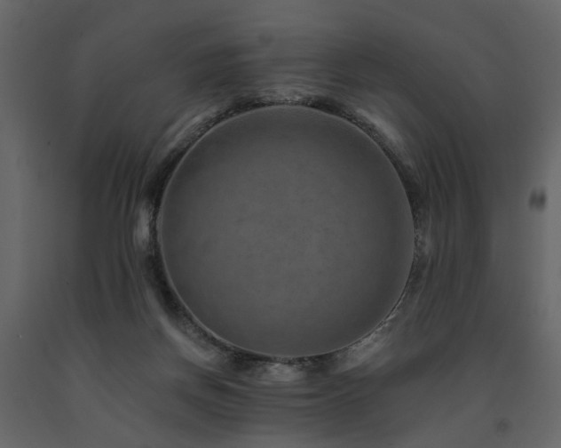 X0000091690166200708231448