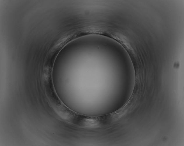 X0000091690167200708231448