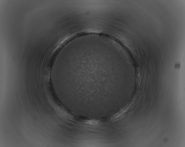 X0000091690168200708231448