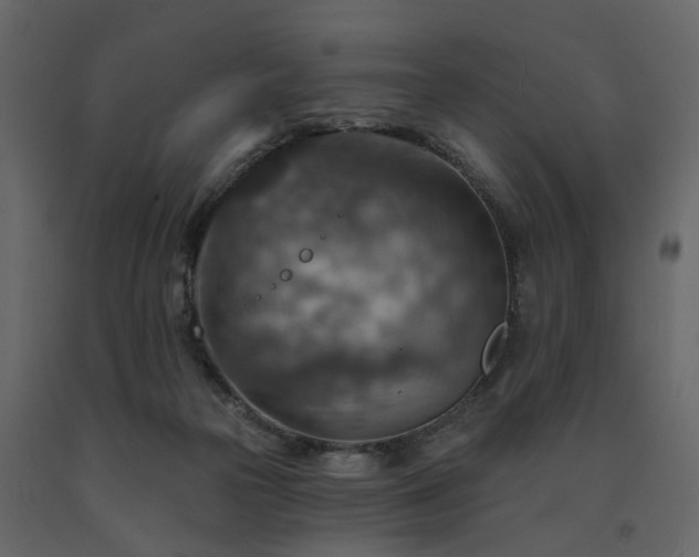 X0000091690169200708231448