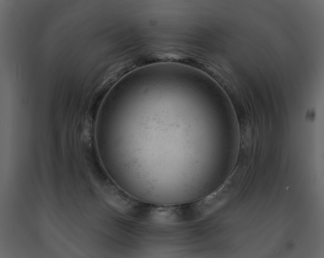 X0000091690175200708231448