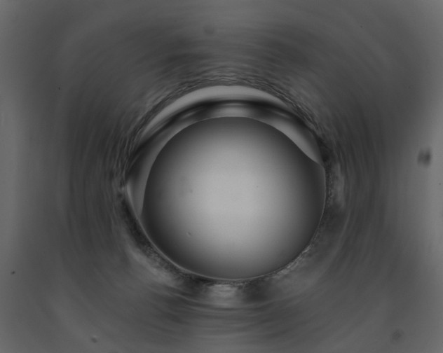 X0000091690176200708231448