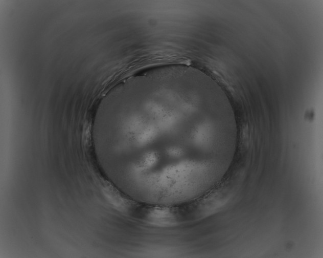 X0000091690177200708231448