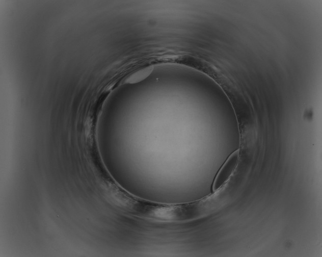 X0000091690178200708231448