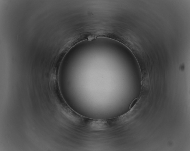 X0000091690179200708231448