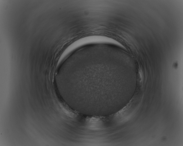 X0000091690180200708231448