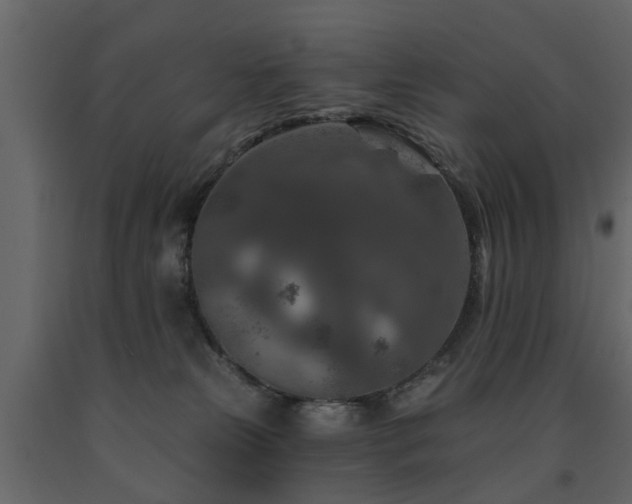 X0000091690181200708231448