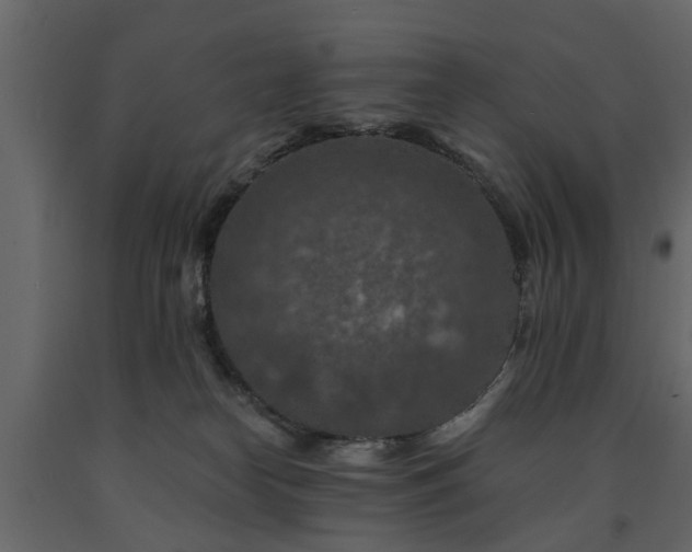 X0000091690182200708231448