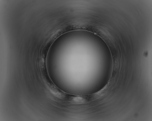 X0000091690183200708231448