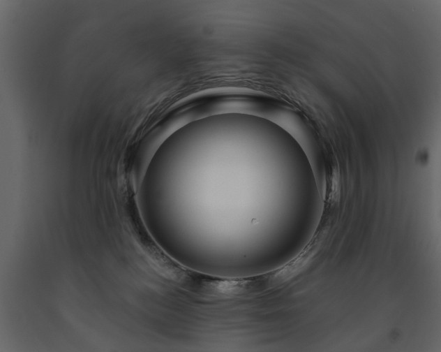 X0000091690184200708231448