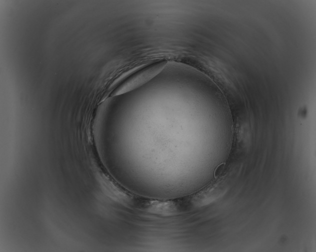 X0000091690185200708231448