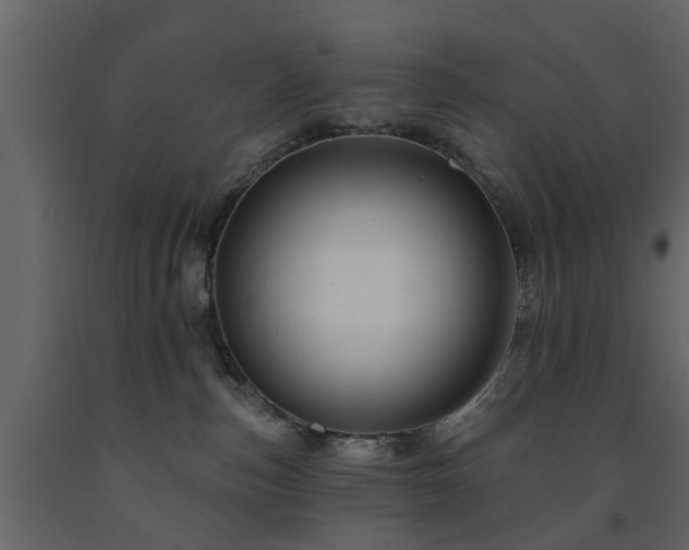 X0000091690187200708231448