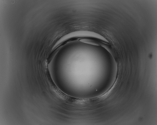 X0000091690190200708231448