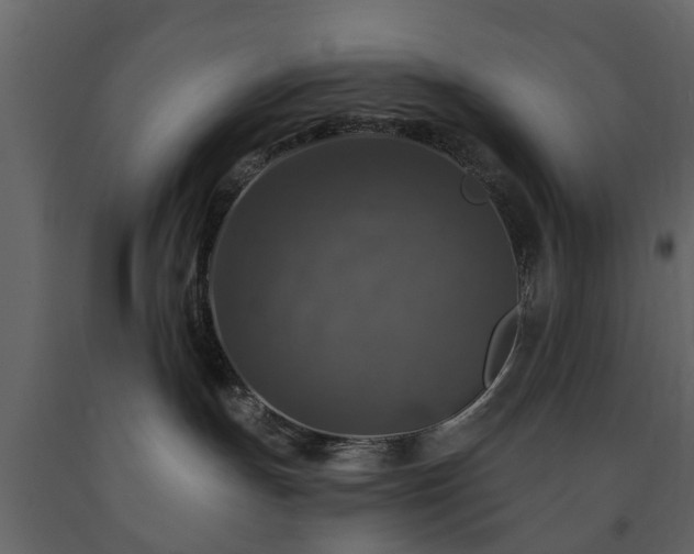X0000091690191200708231448