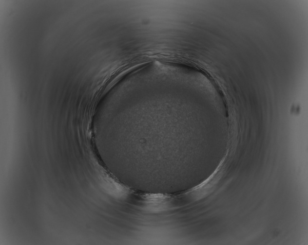 X0000091690192200708231448