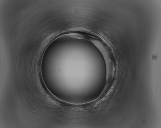 X0000091690193200708231448