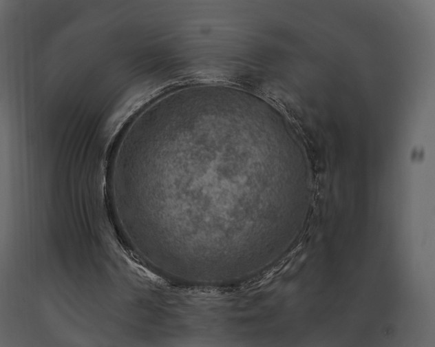 X0000091690194200708231448