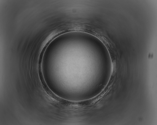 X0000091690195200708231447