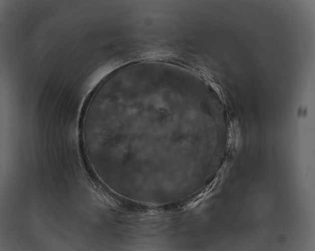 X0000091690196200708231447
