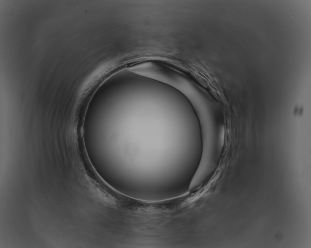 X0000091690197200708231447