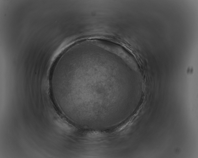 X0000091690198200708231447