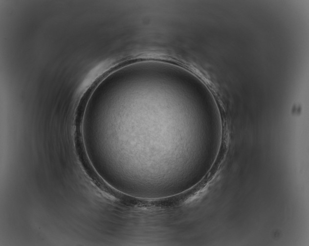 X0000091690199200708231447
