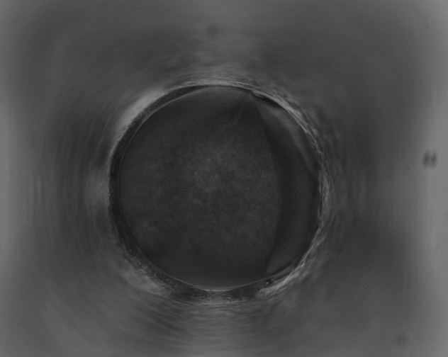 X0000091690200200708231447