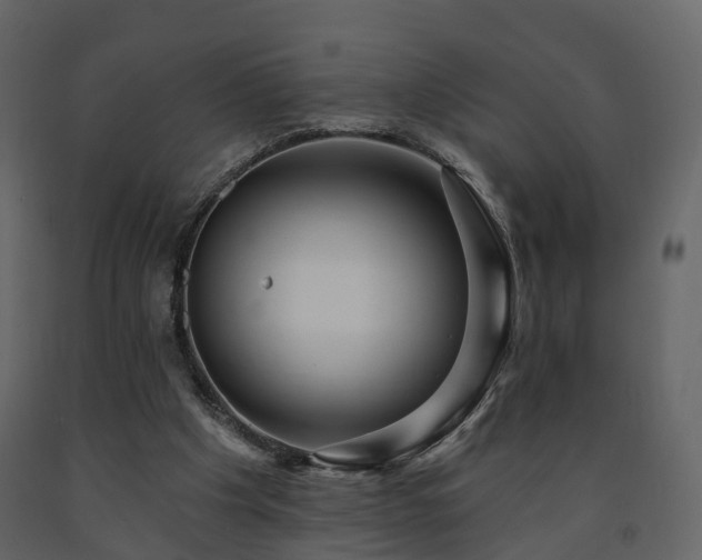 X0000091690201200708231447