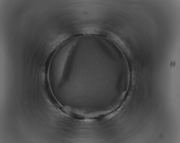 X0000091690202200708231447