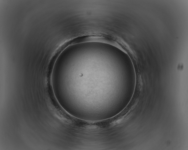 X0000091690203200708231447