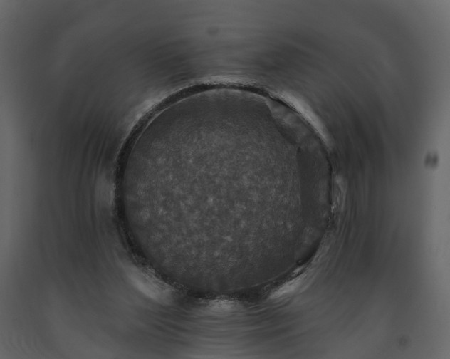 X0000091690204200708231447