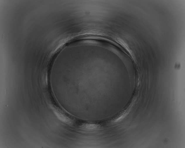 X0000091690205200708231447
