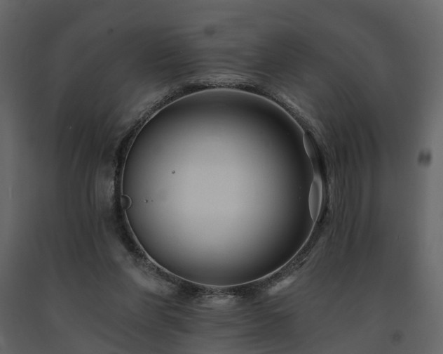 X0000091690206200708231447