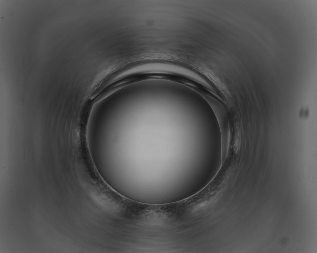 X0000091690207200708231447