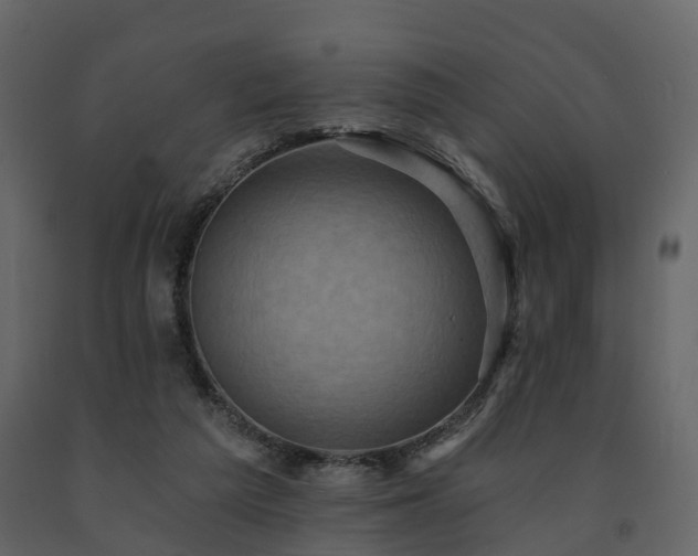 X0000091690209200708231447
