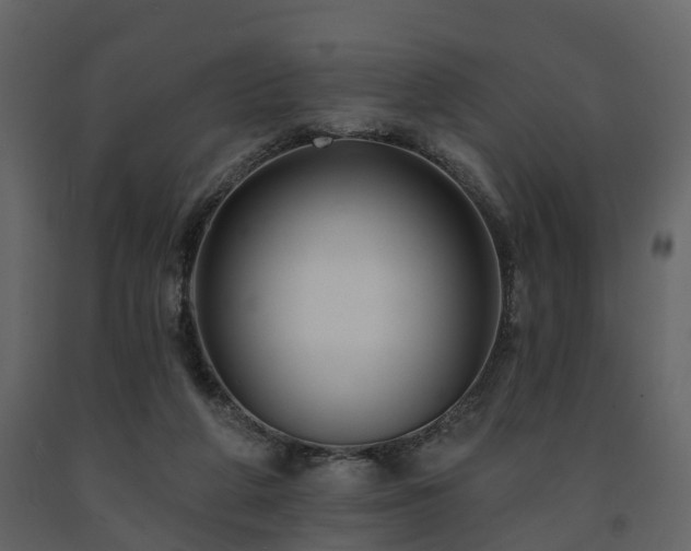 X0000091690210200708231447